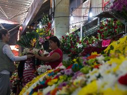 Para este 2021 se estiman ventas por dos mil MDP de flores y plantas ornamentales, lo que rebasará ampliamente los 600 millones de pesos que, se calcula, se lograron facturar en 2020. NTX / ARCHIVO