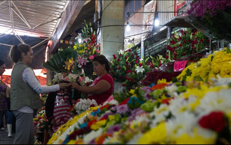 Para este 2021 se estiman ventas por dos mil MDP de flores y plantas ornamentales, lo que rebasará ampliamente los 600 millones de pesos que, se calcula, se lograron facturar en 2020. NTX / ARCHIVO