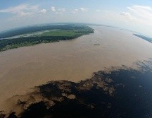 La cantidad de vegetación devastada puede ser mayor, ya que durante abril la nubosidad ocultó al satélite 26% de la Amazonía.  EFE/Archivo