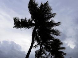 El fenómeno se ubica a 645 kilómetros al sur-suroeste de Punta San Telmo, Michoacán. EFE / ARCHIVO