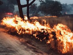 Tras el siniestro se anuncia el cierre de los ingresos al bosque por la zona de Mariano Otero hasta nuevo aviso. ESPECIAL / SEMADET
