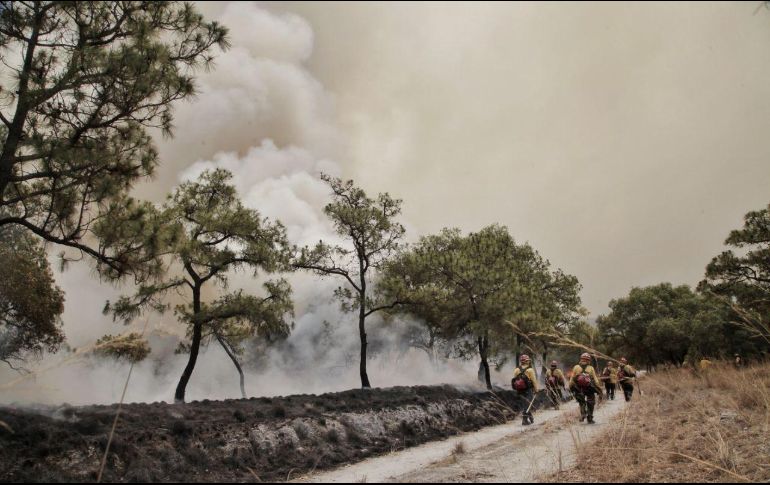 Más de 300 elementos se encuentran combatiendo el incendio en el paraje Ciudad Cajetes, en el Bosque La Primavera. TWITTER / @GobiernoJalisco