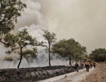 Más de 300 elementos se encuentran combatiendo el incendio en el paraje Ciudad Cajetes, en el Bosque La Primavera. TWITTER / @GobiernoJalisco