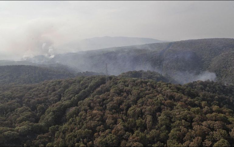 Continúan las labores de liquidación y enfriamiento del incendio forestal en Tala, dentro del Bosque La Primavera. ESPECIAL