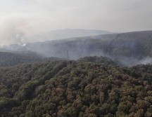Continúan las labores de liquidación y enfriamiento del incendio forestal en Tala, dentro del Bosque La Primavera. ESPECIAL