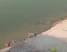 Imagen de video que muestra varios cadáveres en el río Ganges, en la localida de Ghazipur. AP/KK Productions