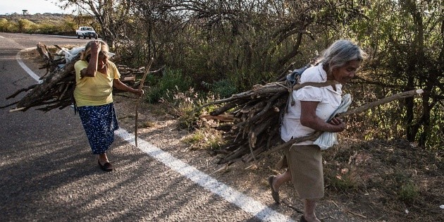 Pensi&oacute;n para abuelitos en pobreza es insuficiente, se&ntilde;ala el Coneval