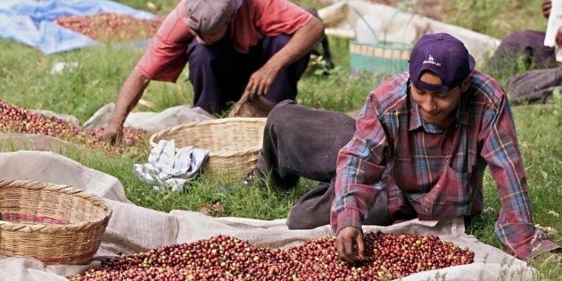 M&eacute;xico pide a EU cumplir con leyes laborales en sector agr&iacute;cola