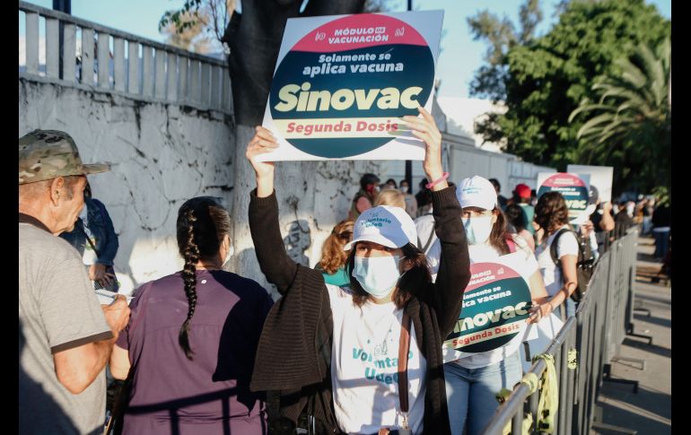 Jornada de aplicación de la segunda dosis de la vacuna contra el COVID-19 de Sinovac a adultos mayores, en el CUCEI. EL INFORMADOR / G. Gallo