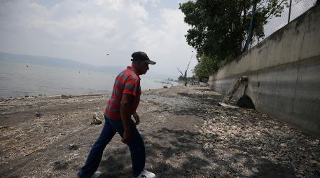 Especialistas señalan que el daño al lago de Chapala está hecho. EL INFORMADOR/F. Atilano