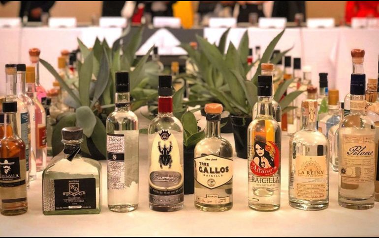 Muchas bebidas tradicionales de México tienen reconocimiento internacional. /EFE.