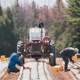 México presidirá primera reunión trilateral del T-MEC