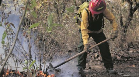 Aspirantes al Distrito 10 local centran propuestas en La Primavera