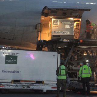 Llega a México nuevo cargamento de vacuna anti COVID-19 de CanSino