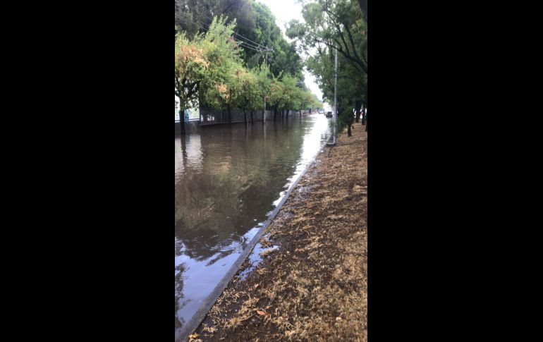 La lluvia que se presentó la mañana de este sábado en la Zona Metropolitana de Guadalajara (ZMG) dejo diversas inundaciones. ESPECIAL