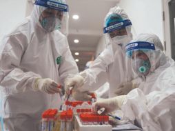 “TALÓN DE AQUILES”. Frenar la producción de proteínas reduciría la réplica viral en células infectadas.