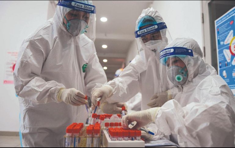 “TALÓN DE AQUILES”. Frenar la producción de proteínas reduciría la réplica viral en células infectadas.