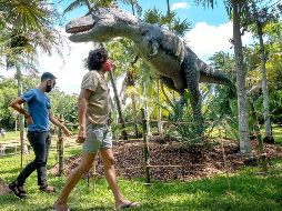 Jardín jurásico en el Botánico Fairchild de Miami