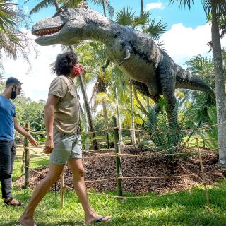 Jardín jurásico en el Botánico Fairchild de Miami