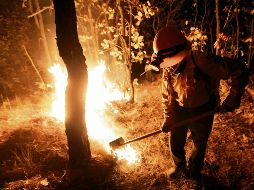 Del total de incendios forestales, 539 (10%) correspondió a ecosistemas sensibles al fuego, afectando una superficie de 33 mil 790 ha (12%) del total nacional. ARCHIVO