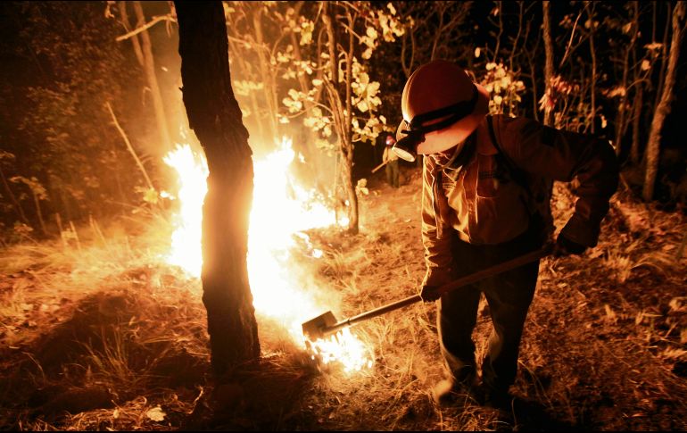 Del total de incendios forestales, 539 (10%) correspondió a ecosistemas sensibles al fuego, afectando una superficie de 33 mil 790 ha (12%) del total nacional. ARCHIVO