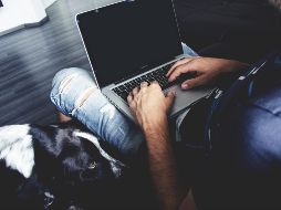 MEJOR ALIADO. El perro ayuda a los alumnos a lidiar con el estrés, entre otros beneficios. PIXABAY