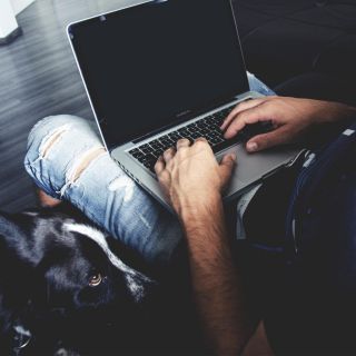 Perros ayudan a bajar el estrés en estudiantes y mejorar sus habilidades cognitivas