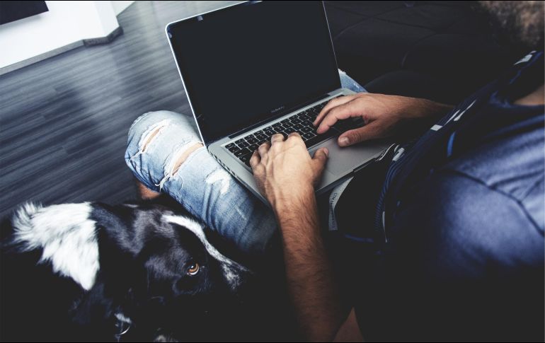 MEJOR ALIADO. El perro ayuda a los alumnos a lidiar con el estrés, entre otros beneficios. PIXABAY