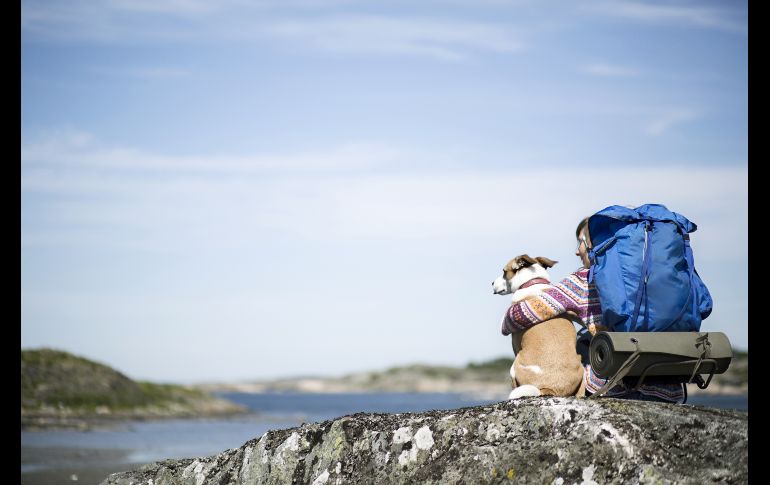 Atrévete a nuevas aventuras con tu mejor amigo / Especial: Booking.com