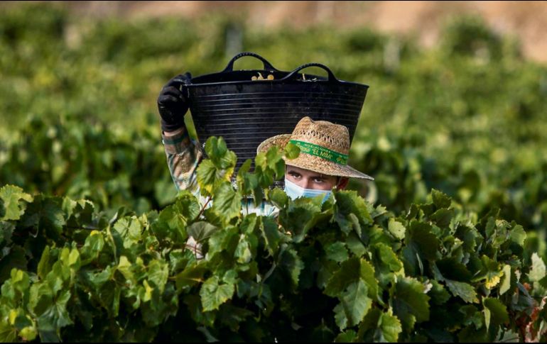 AGRICULTURA. El sector alimenticio fue uno de los temas que se trataron durante la charla entre las delegaciones. EFE