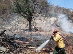 En los incendios trabajan personal de Semadet, Conafor y Protección Civil. TWITTER / @SemadetJal