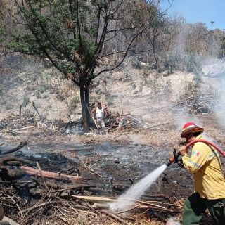 Combaten siete incendios; dos de ellos en La Primavera