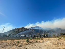 El gobernador de Jalisco informó que seis de los siete incendios registrados ayer fueron liquidados. TWITTER /@UMPCyBZ