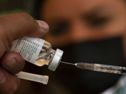 Por su lado, el Presidente López Obrador indica que no se pensaba que se contaría con este número de dosis que se tiene en México porque 