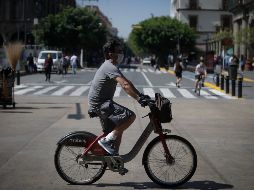 La Directora de Movilidad y Transporte de Guadalajara señaló que de 2015 a 2019 han disminuido los atropellamientos en la ciudad, al pasar de 43 a 24. EL INFORMADOR /ARCHIVO