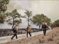 Las + Informador: Las noticias del 19 de mayo de 2021