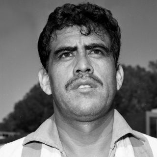 ¡Hasta pronto, “Tigre”!