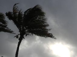 La temporada de huracanes en el Atlántico inicia el 1 de junio, aunque desde hace años se produce alguna tormenta antes de esa fecha, lo que ha llevado a que algunos meteorólogos defiendan la necesidad de adelantarla. AFP / ARCHIVO