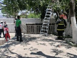 Bomberos de Guadalajara acudieron al lugar donde el hombre se electrocutó. ESPECIAL/ Protección Civil y Bomberos GUadalajara