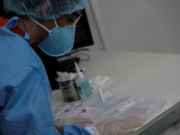 Todos los tripulantes fueron aislados en sus camarotes, excepto uno que debió ser trasladado al hospital. EFE/ARCHIVO