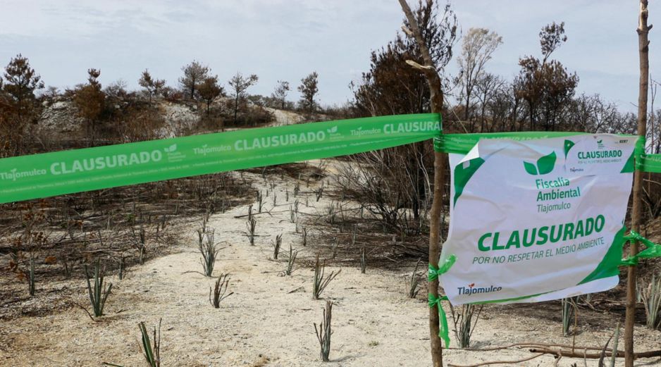 Avanza mapa para frenar deforestación por agave