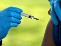 Detallan que el Modelo Jalisco no sustituye al registro en el portal federal, sino que sólo lo complementa. EFE/ARCHIVO