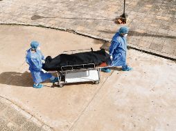 Por la pandemia, en los hospitales del mundo se dejaron de atender otras enfermedades. AP/J. Sáenz