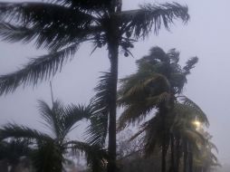 En Bermudas se activó un aviso por tormenta tropical. AP / ARCHIVO