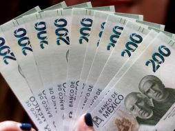 Con la vista y el tacto se puede identificar un billete falso de uno verdadero. EFE/ARCHIVO