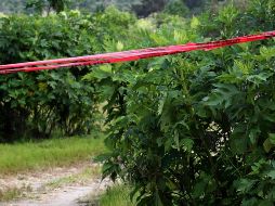 Las columnas de Sendero Luminoso habían advertido en la zona que se retiren del lugar y el ataque presuntamente se produjo por la desobediencia a sus órdenes. AFP/ARCHIVO