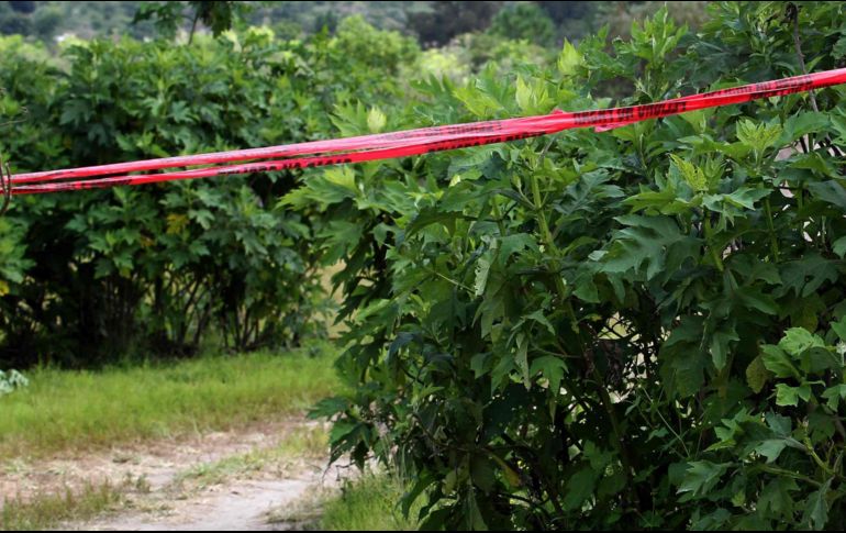 Las columnas de Sendero Luminoso habían advertido en la zona que se retiren del lugar y el ataque presuntamente se produjo por la desobediencia a sus órdenes. AFP/ARCHIVO