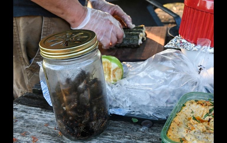 El chef estadounidense nacido en Hong Kong mostró cómo recolectar, cocinar y preparar cigarras como una forma de hablar sobre métodos alternativos de cultivo y alimentación. AFP/A. Caballero