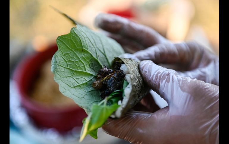 El chef estadounidense nacido en Hong Kong mostró cómo recolectar, cocinar y preparar cigarras como una forma de hablar sobre métodos alternativos de cultivo y alimentación. AFP/A. Caballero