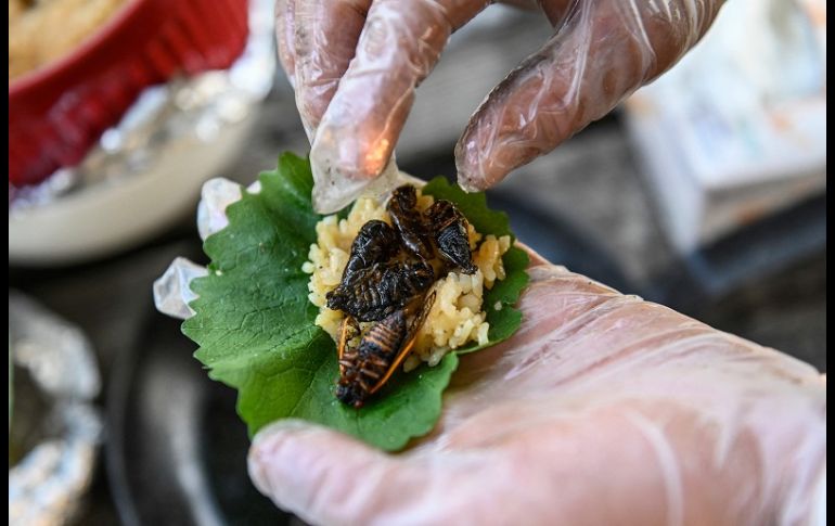 El chef estadounidense nacido en Hong Kong mostró cómo recolectar, cocinar y preparar cigarras como una forma de hablar sobre métodos alternativos de cultivo y alimentación. AFP/A. Caballero
